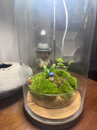 Terrarium Workshop