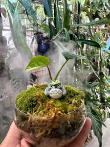 Terrarium Workshop